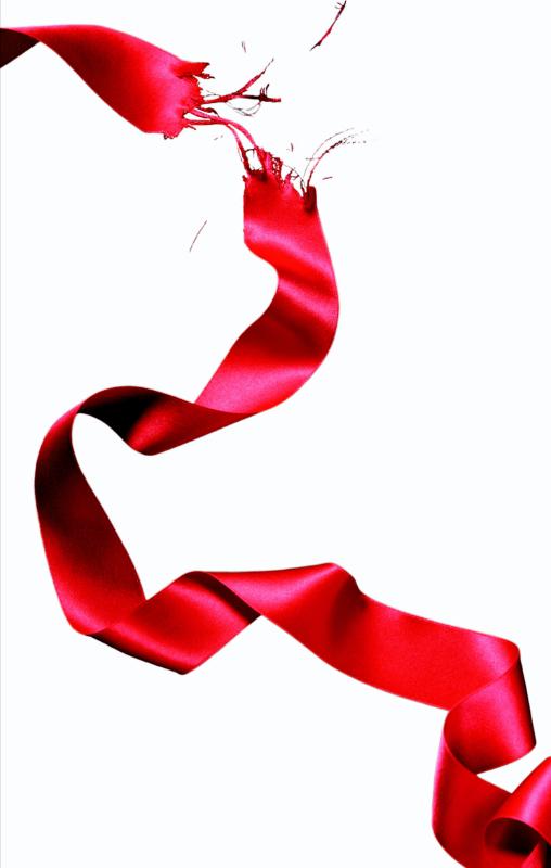 boekenbalie_9789022559901_cover Eclips / Twilight