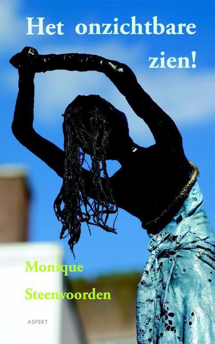 Monique Steenvoorden Het Onzichtbare Zien!