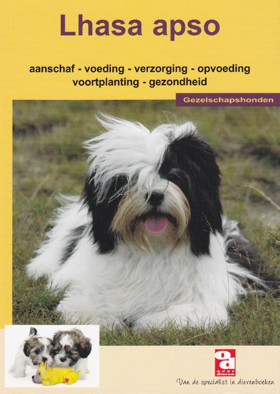 Lhasa apso / Over dieren