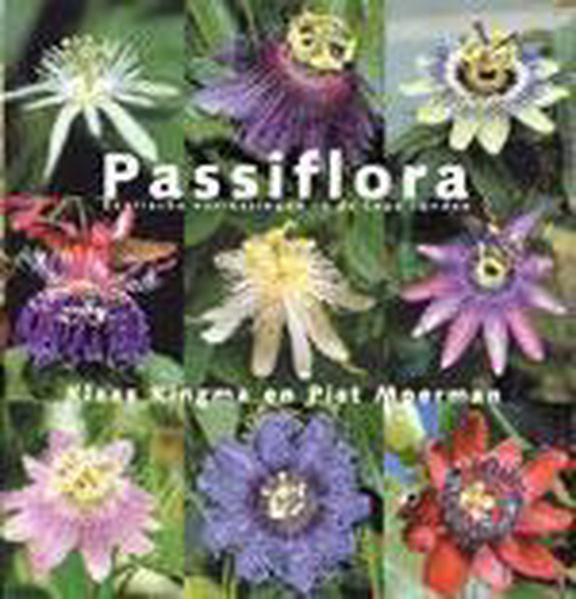 K. Kingma Passiflora thumbnail
