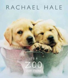 It's a Zoo out there. Rachel Hale