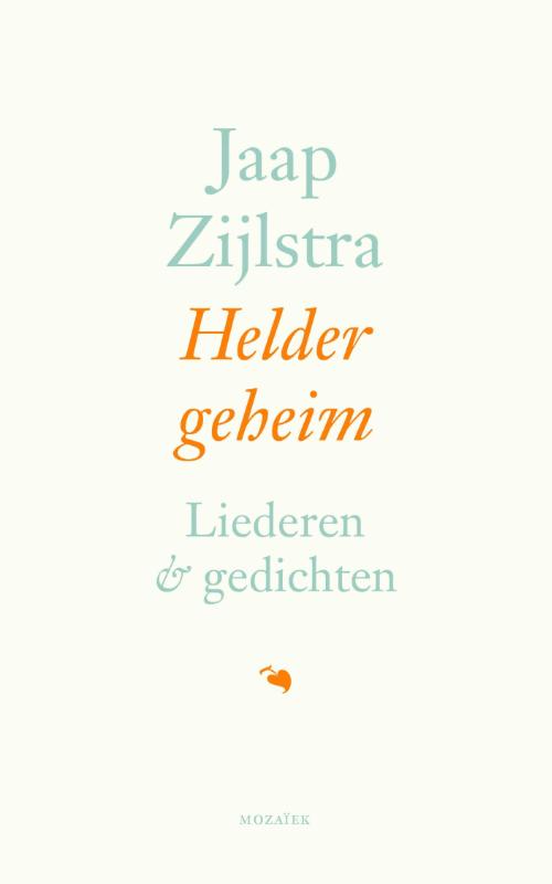 Jaap Zijlstra Helder Geheim thumbnail