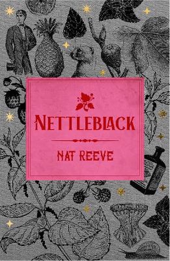 boekenbalie_9781838390068_cover Reeve, N: Nettleblack