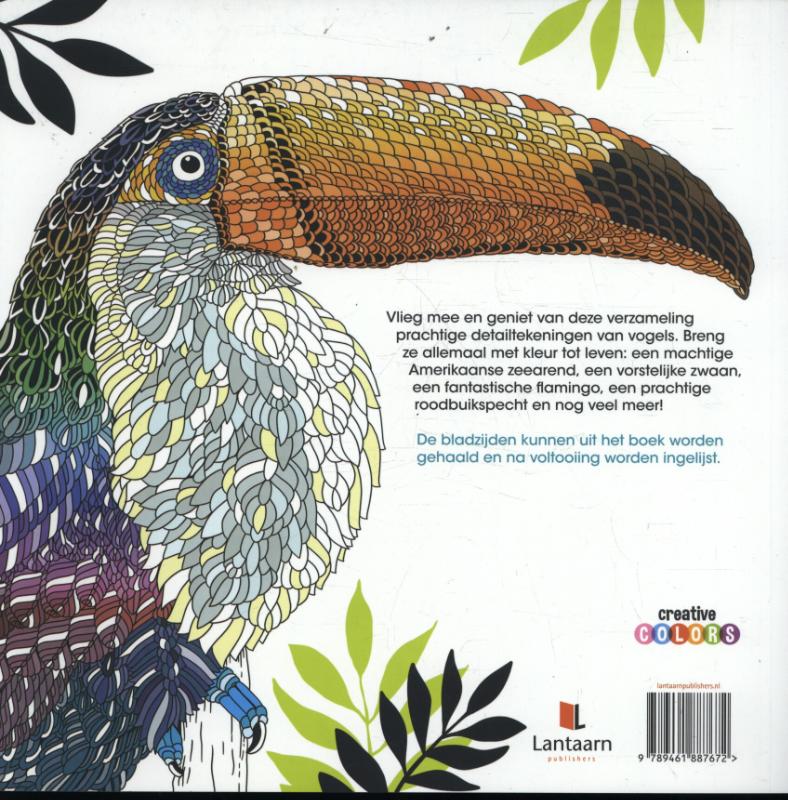 Vogelrijk / Creative colors achterkant
