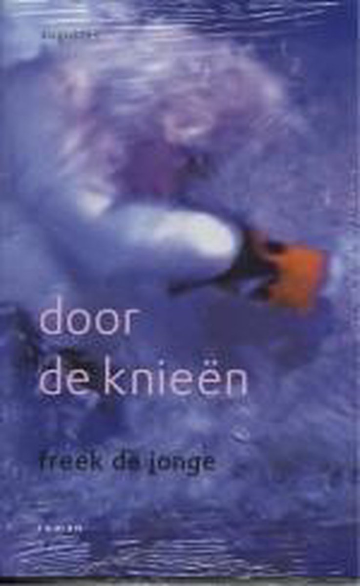 boekenbalie_9789045702322_cover Door de knieën