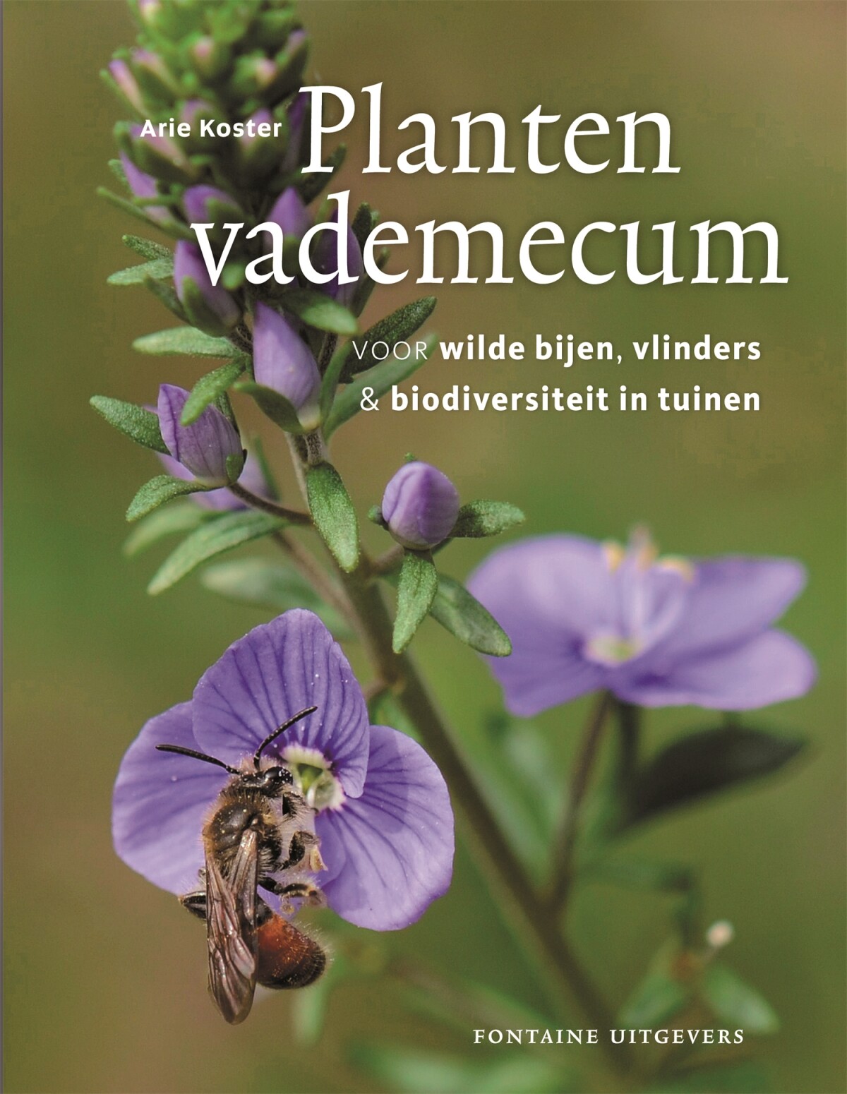 Plantenvademecum