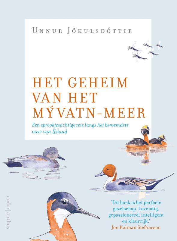 Het geheim van het Mývatnmeer