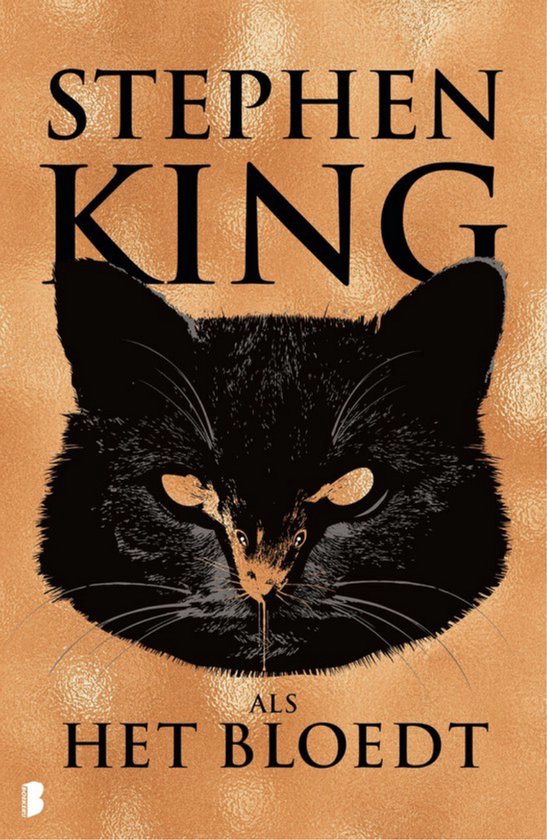 Als het Bloedt Stephen KIng