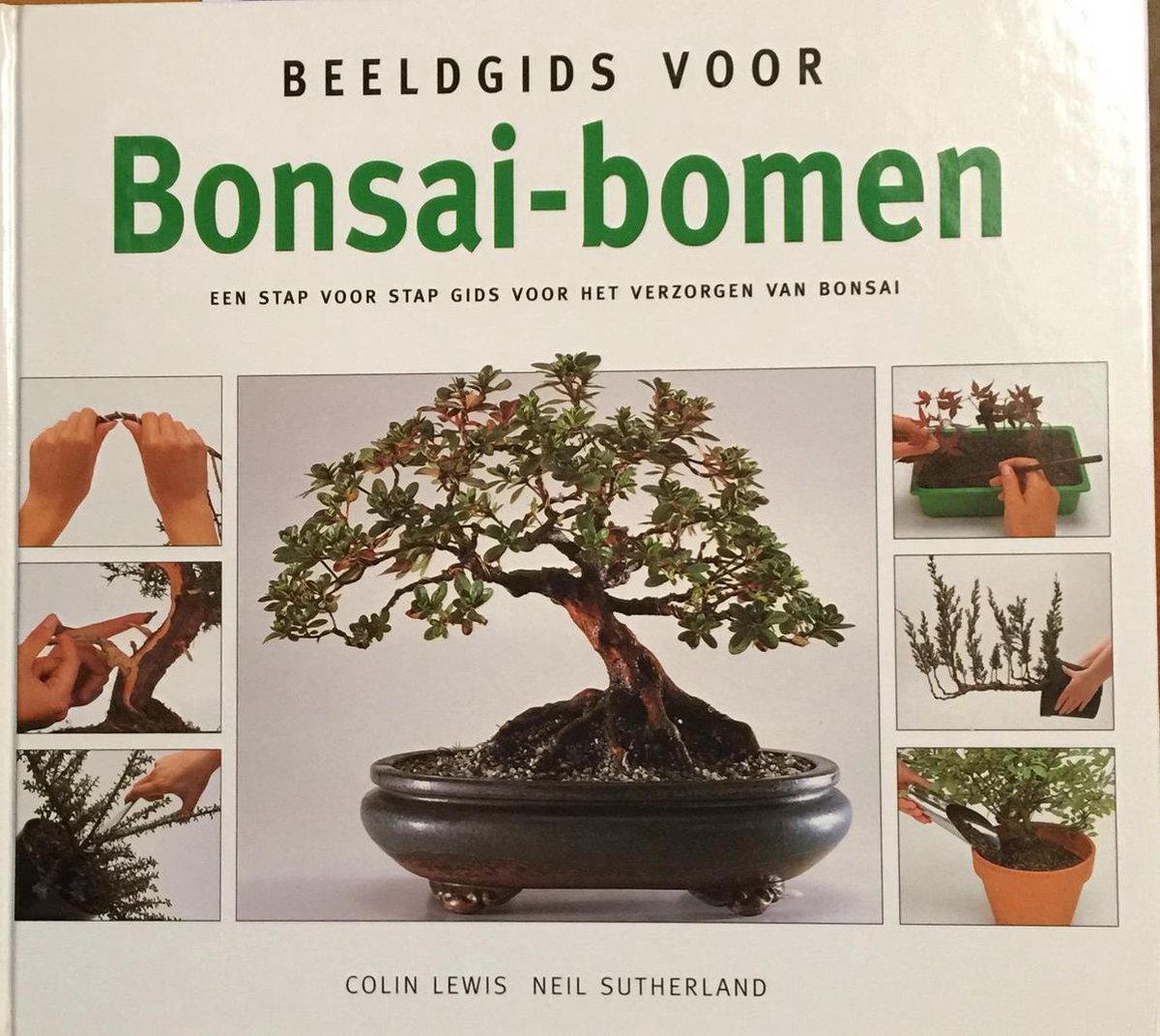 boekenbalie_9789036609012_cover Beeldgids voor bonsai-bomen