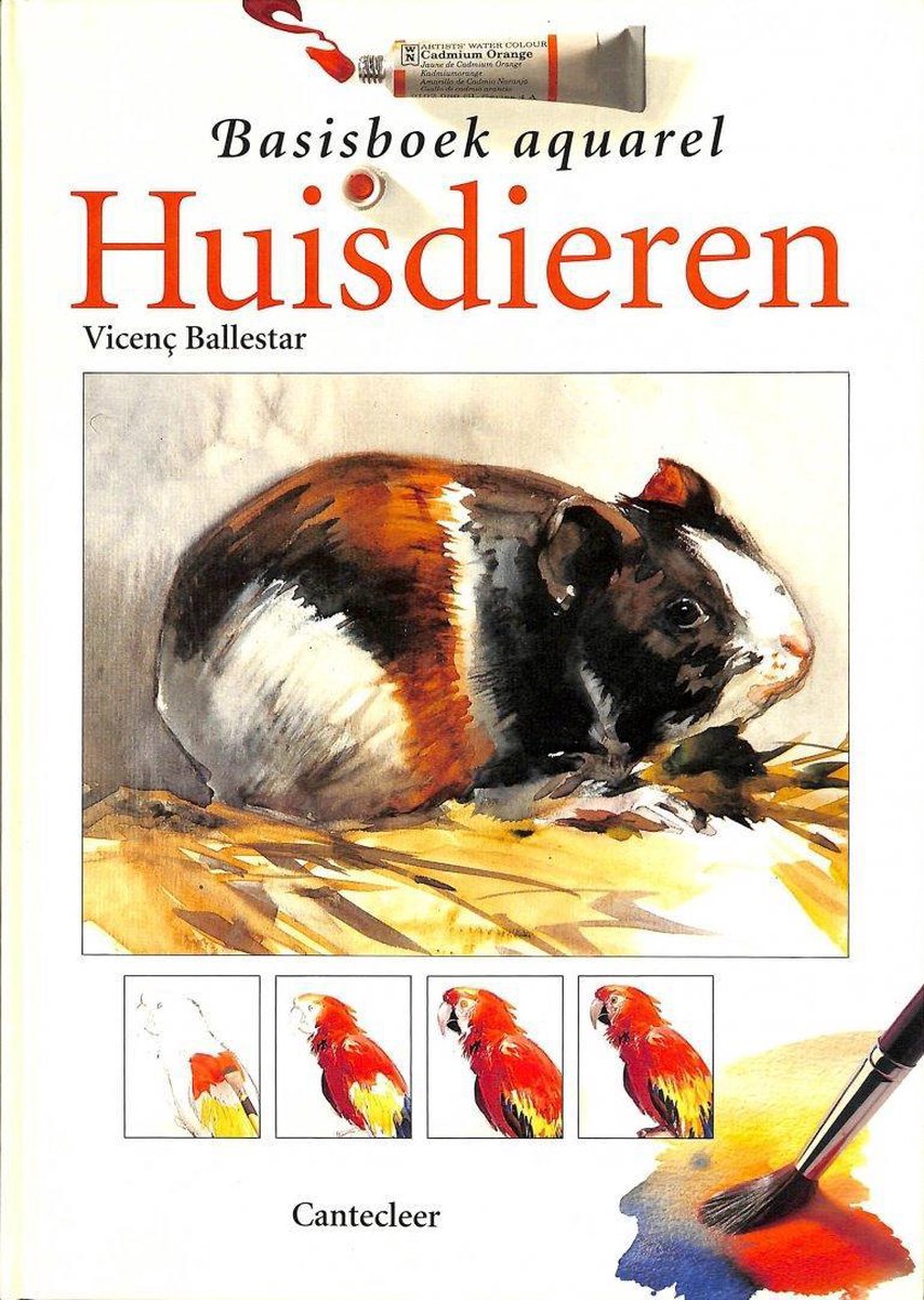 boekenbalie_9789021322957_cover Huisdieren / Basisboek aquarelleren