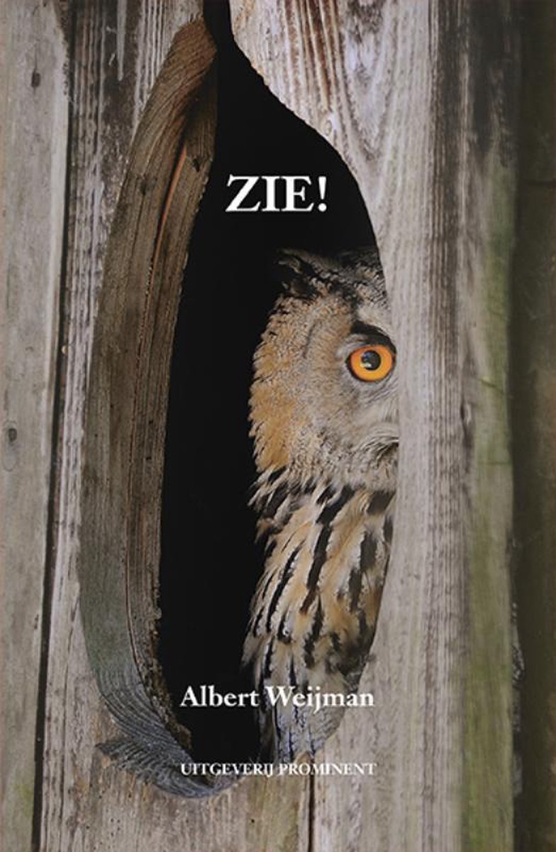 boekenbalie_9789492395214_cover Zie!,