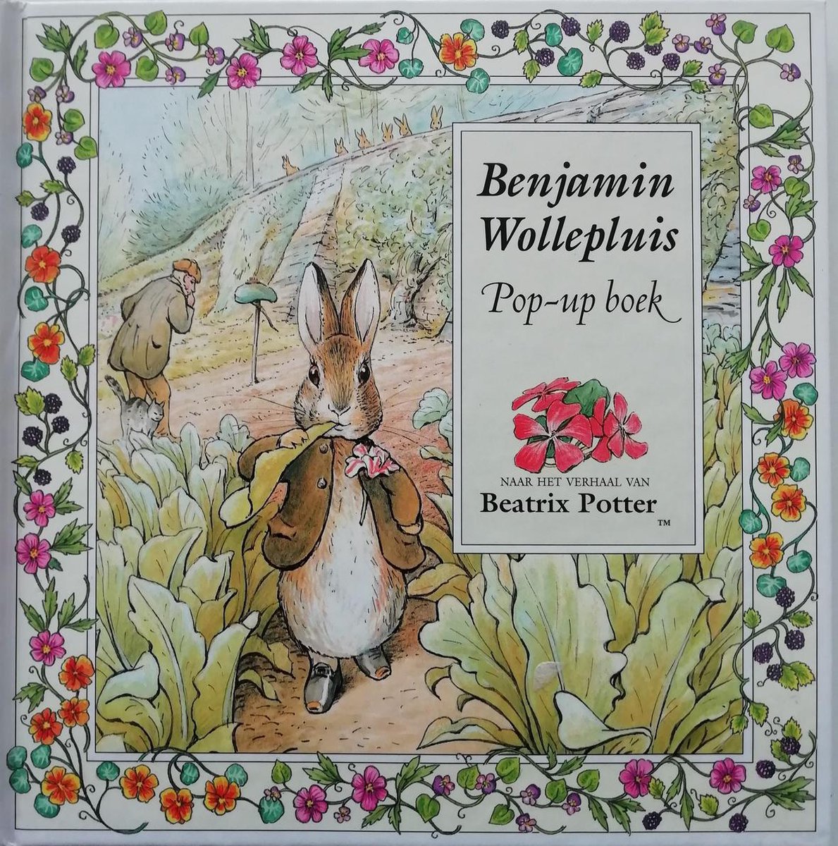 Benjamin Wollepluis pop-up boek