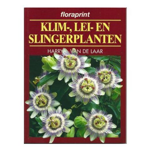 Klim- lei- en slingerplanten