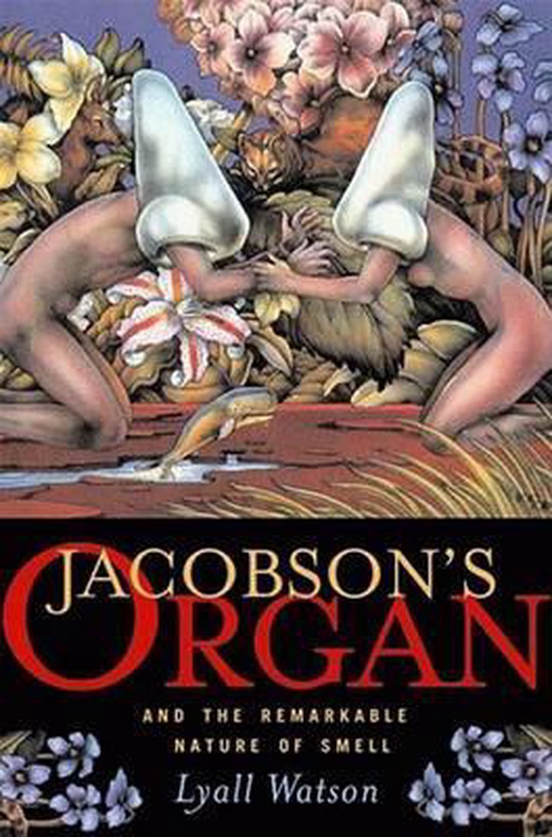 Jacobson's Organ