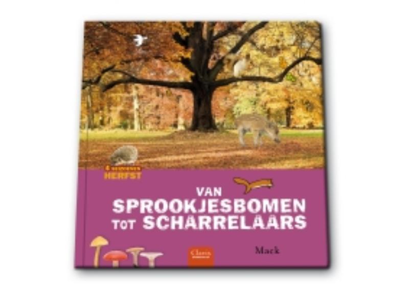 Van sprookjesbomen tot scharrelaars / 4 Seizoenen Herfst