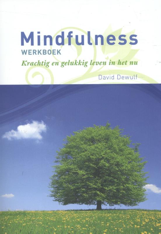 boekenbalie_9789082428308_cover Mindfulness werkboek