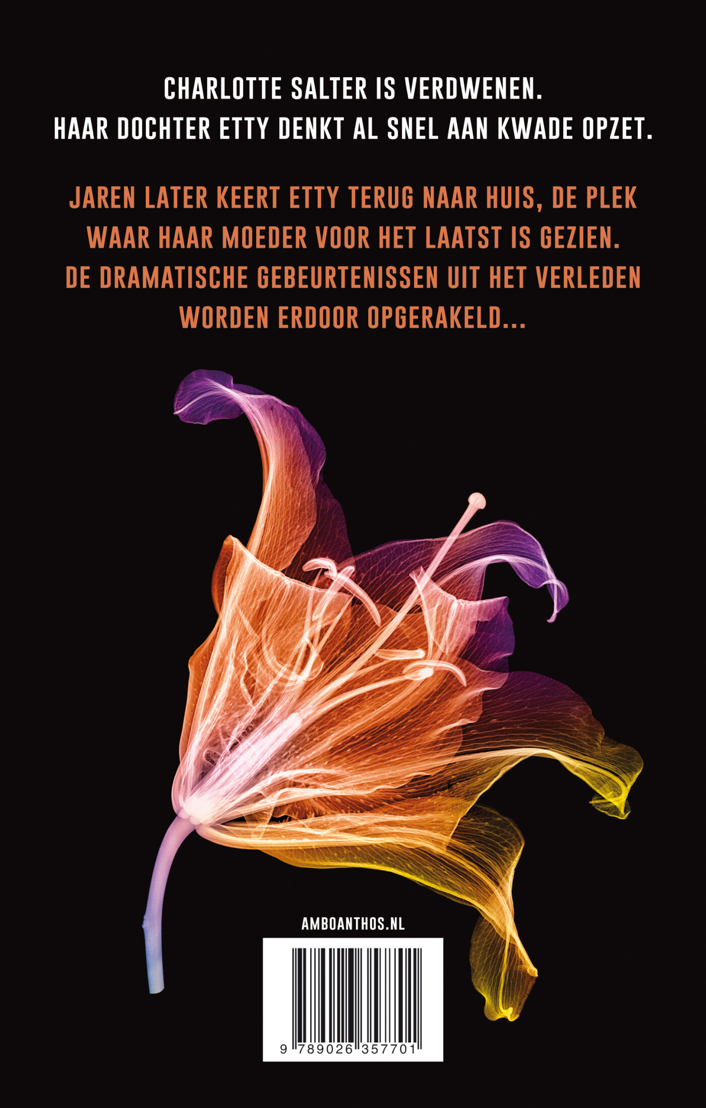 Heeft iemand Charlotte Salter gezien? / Rechercheur Maud O'Connor achterkant