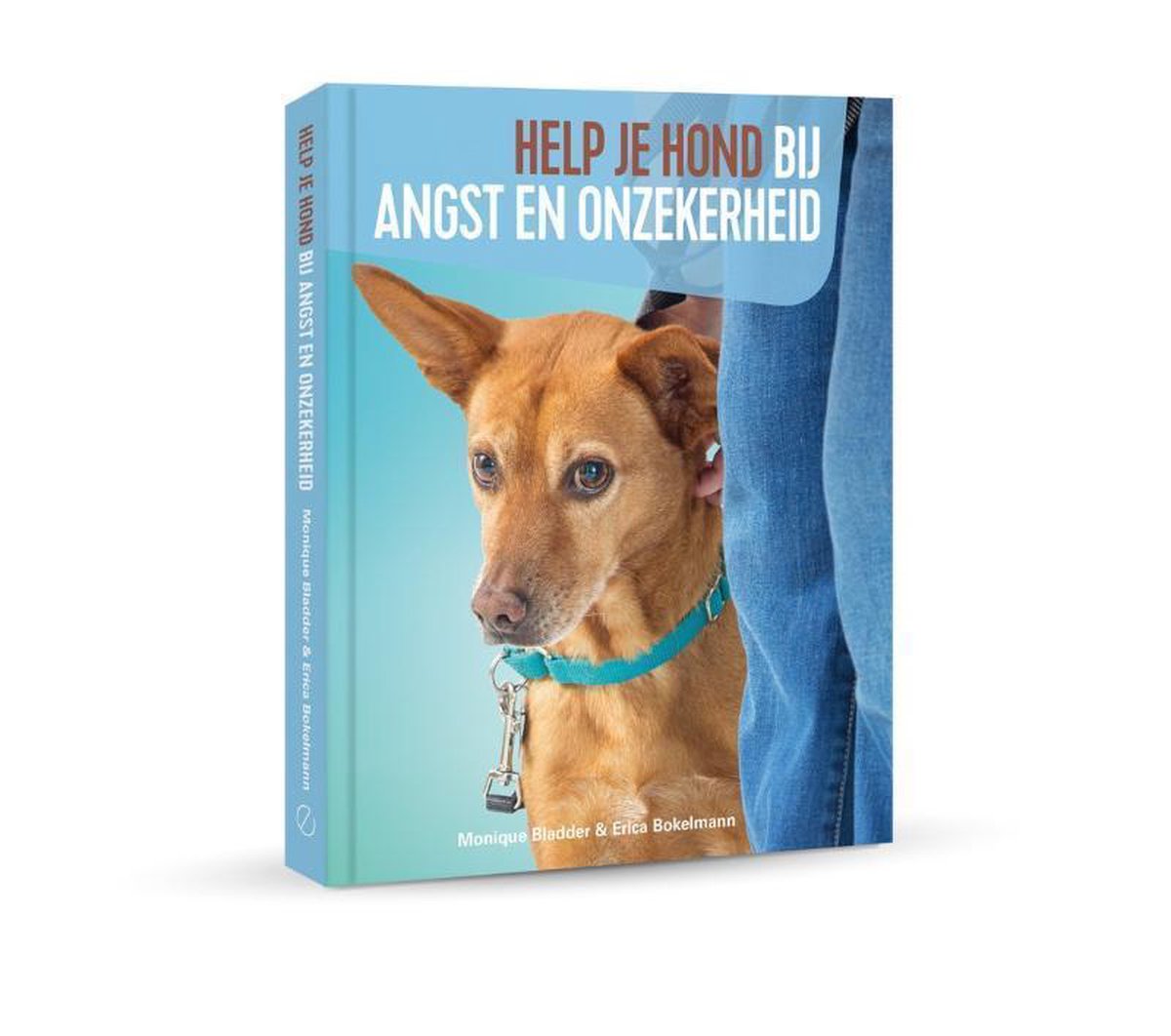 Erica Bokelmann Help Je Hond Bij Angst
