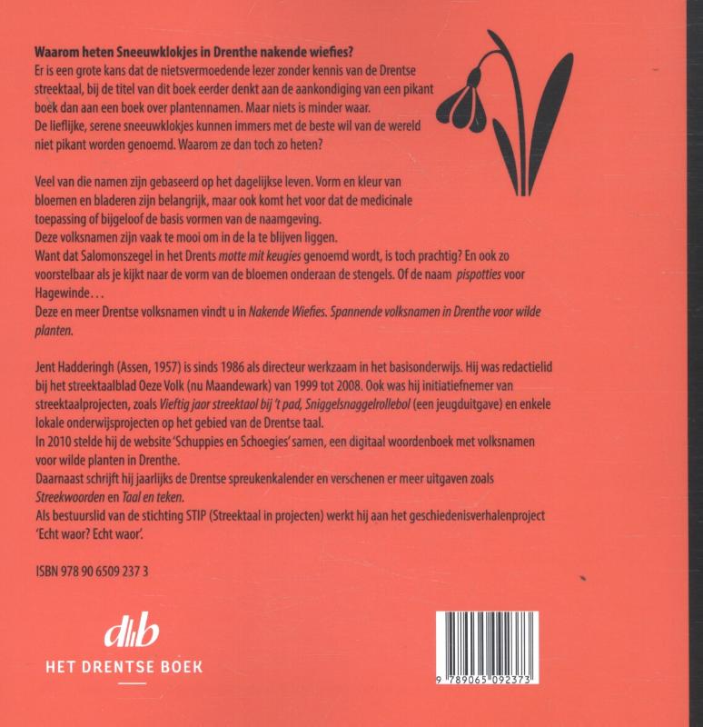 Nakende wiefies achterkant