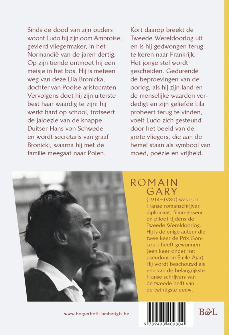 De vliegers achterkant