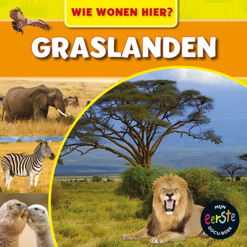 Graslanden / Wie wonen hier?