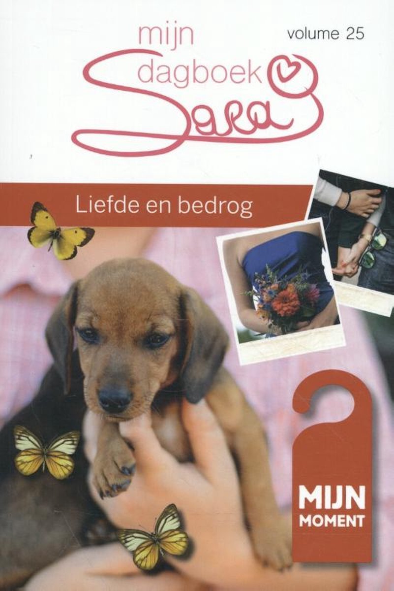 Liefde en bedrog / Sara mijn dagboek / 25