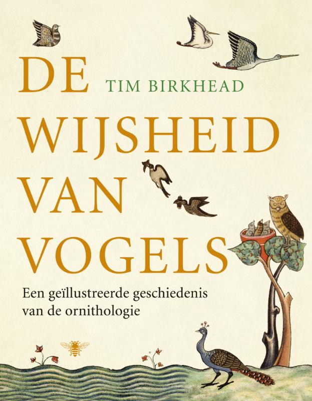 T. Birkhead De Wijsheid Van Vogels thumbnail