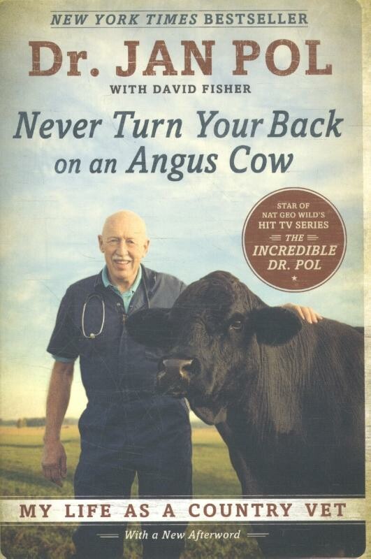 Never Turn Your Back on an Angus Cow