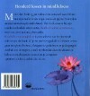 Honderd lessen in mindfulness Honderd lessen in mindfulness achterkant