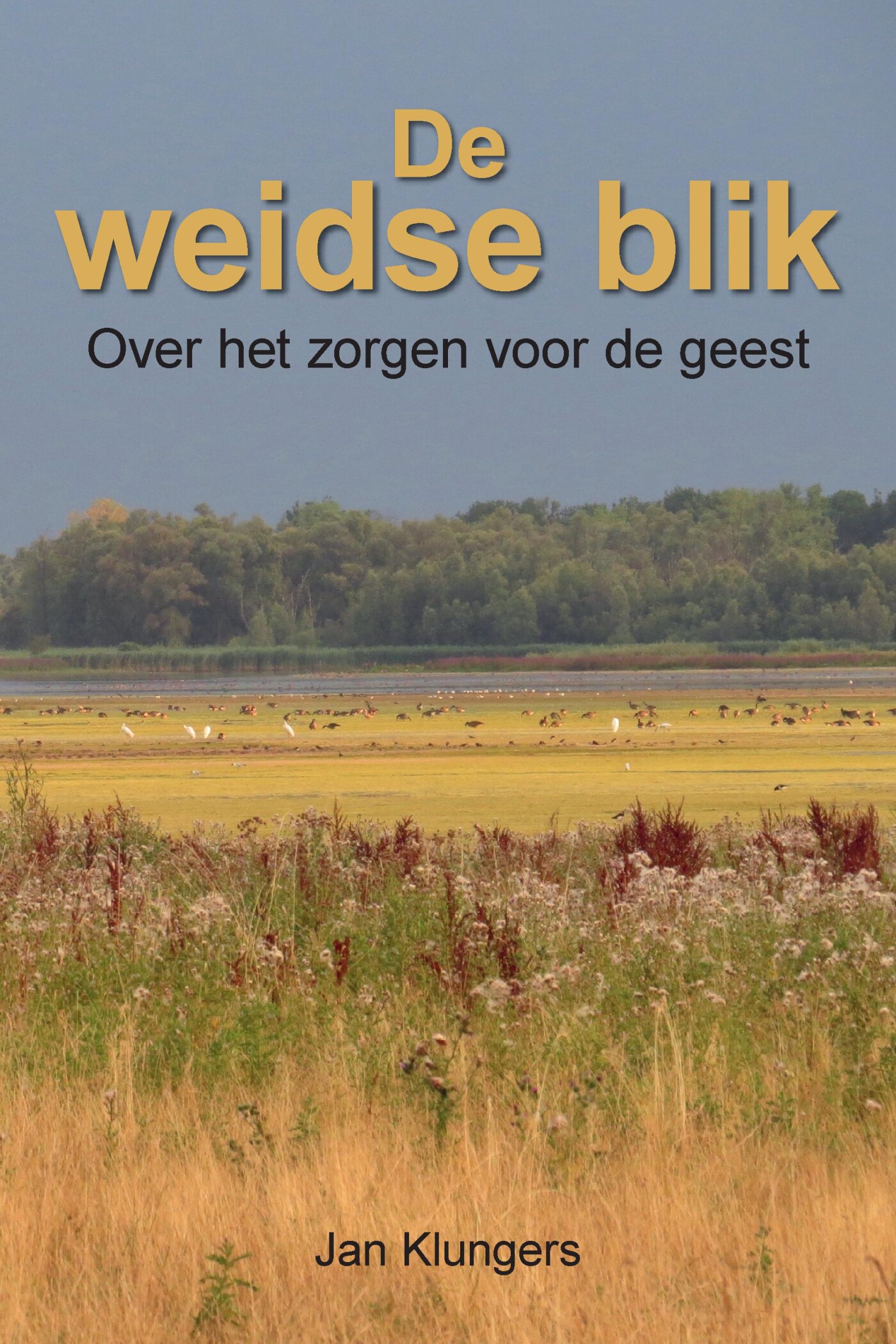 De Weidse Blik
