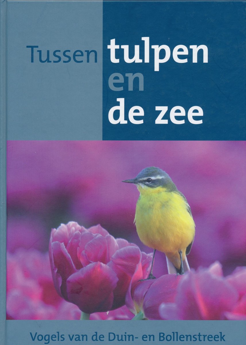 Tussen tulpen en de zee