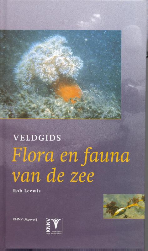 Veldgids flora en fauna van de zee / Veldgids / 16