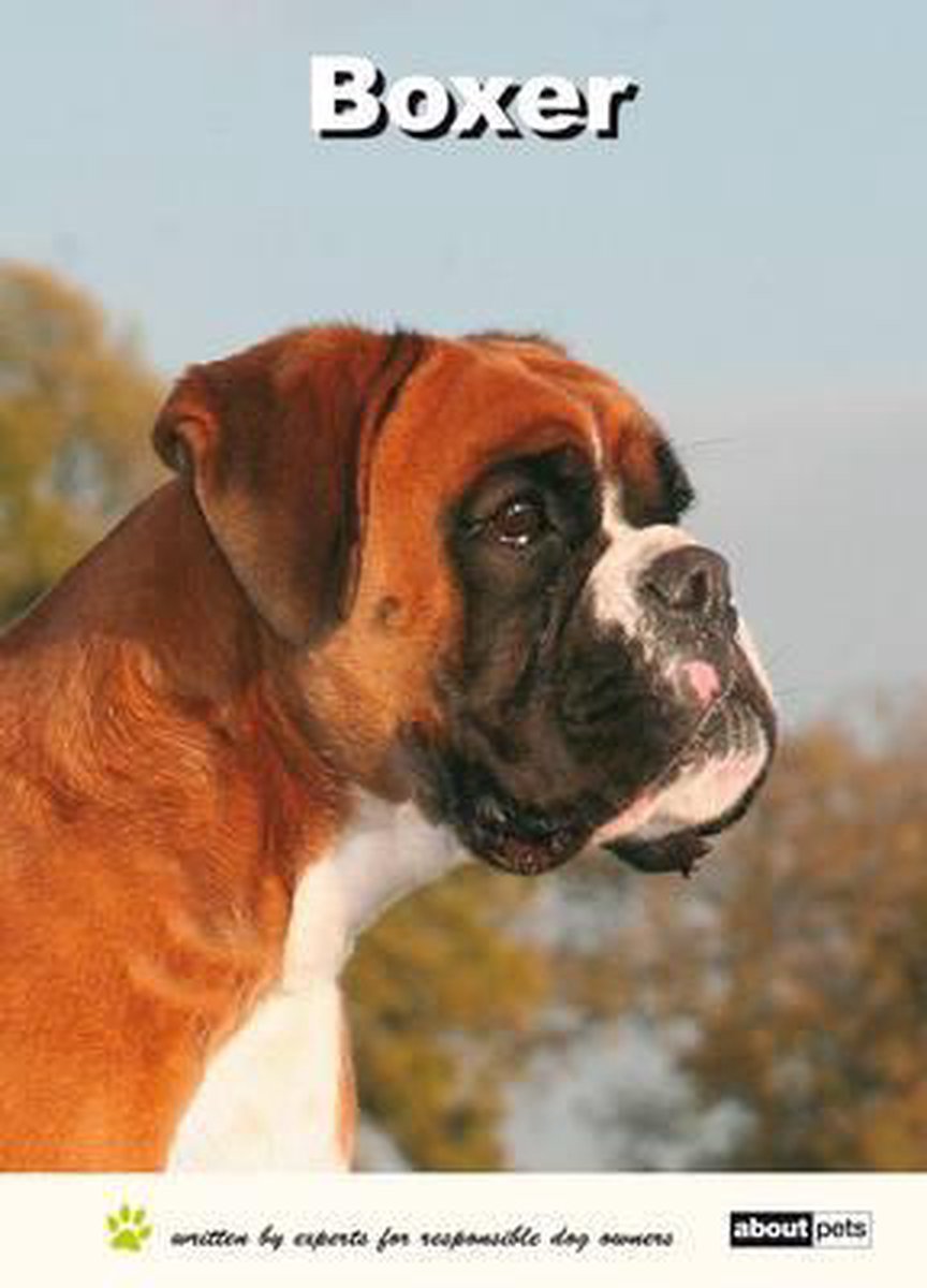 Boxer / About pets