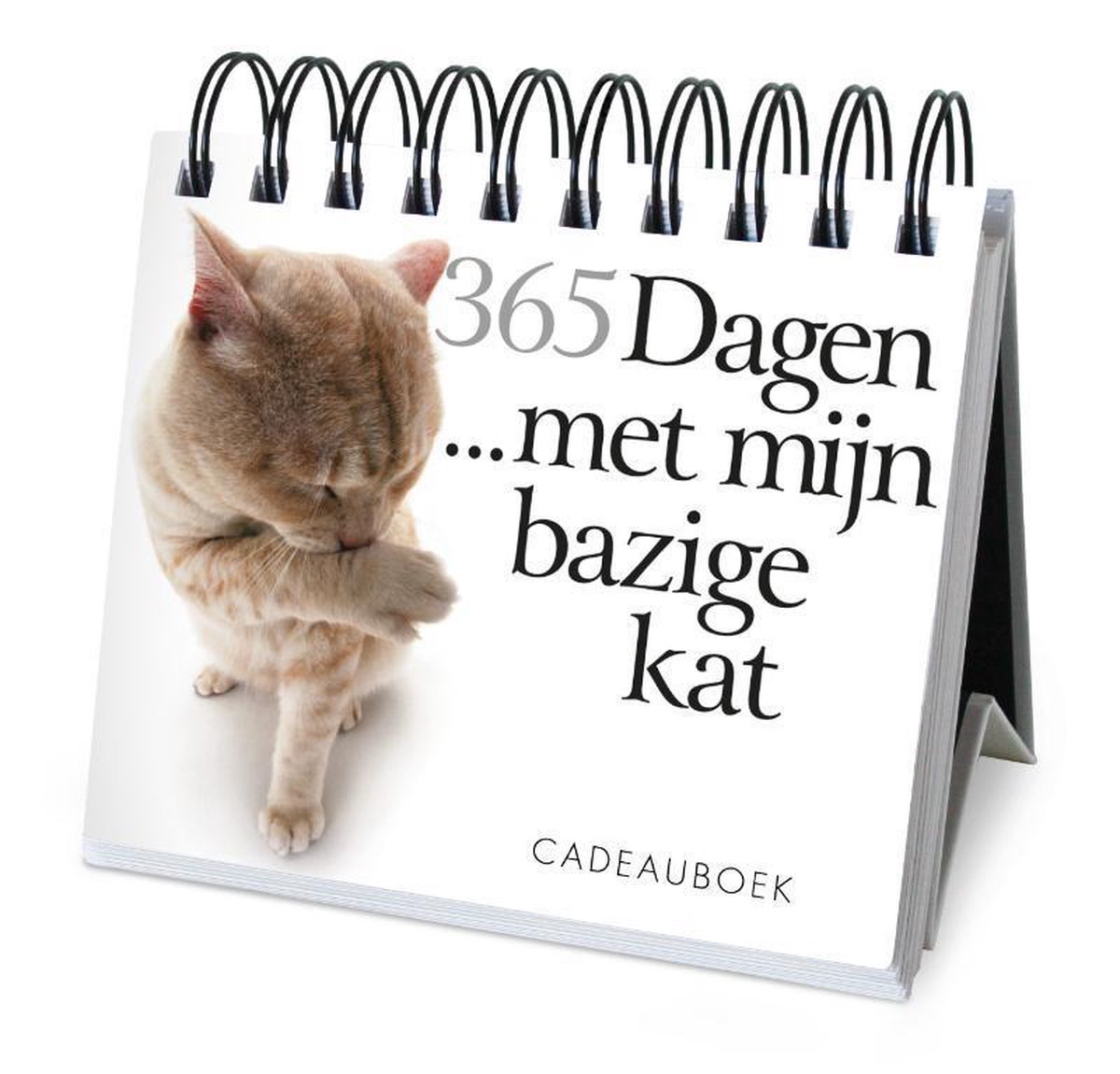 365 dagen 1 -   365 dagen met mijn bazige kat