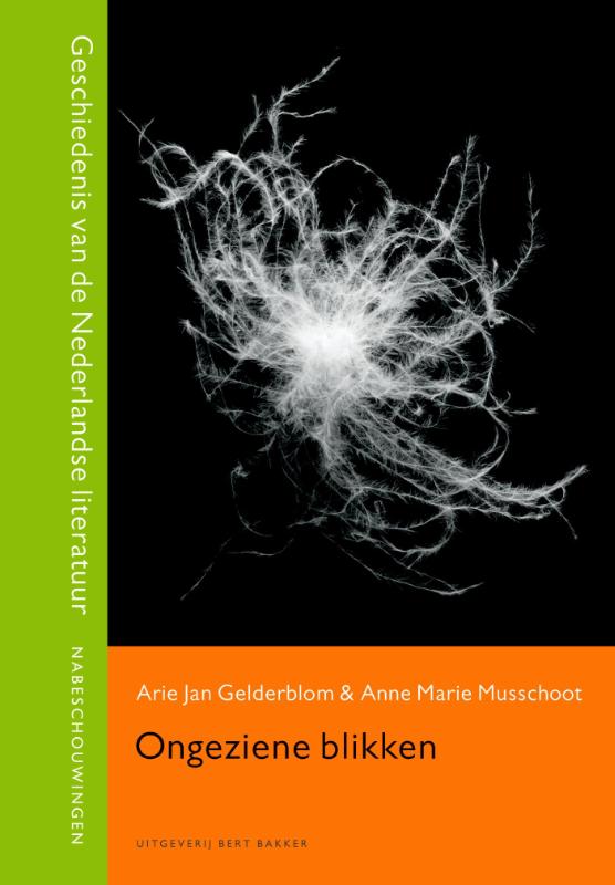 boekenbalie_9789035130487_cover Ongeziene blikken / Geschiedenis van de Nederlandse literatuur