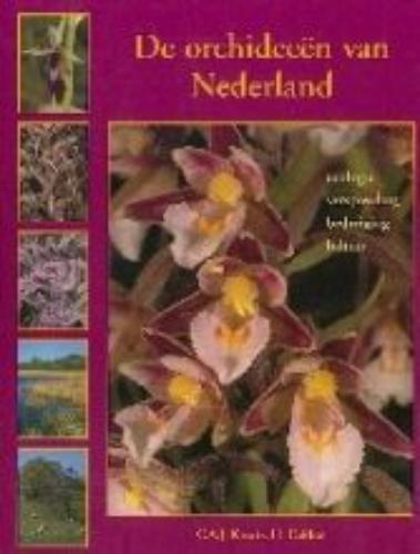 Orchideeen Van Nederland
