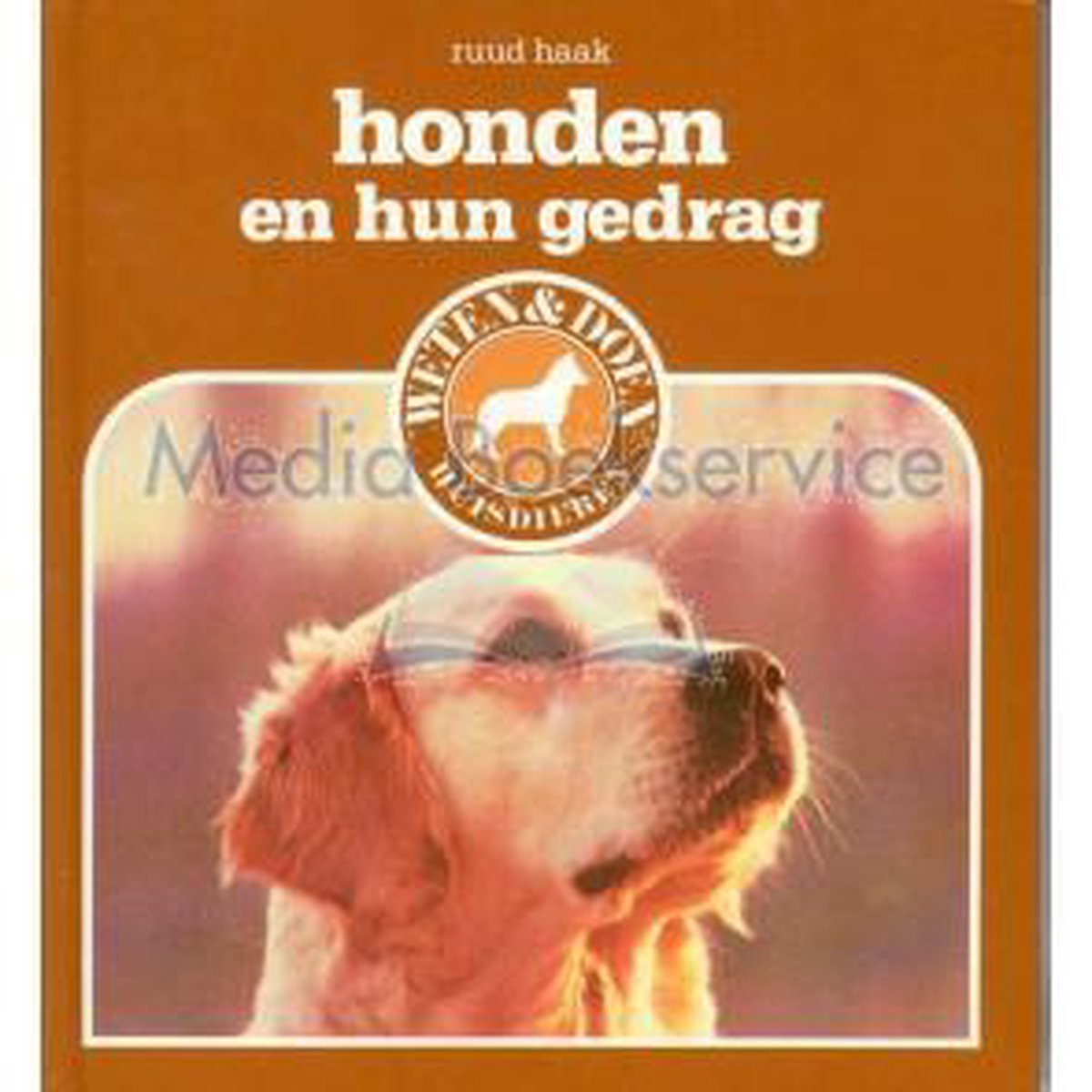 Haak Honden En Hun Gedrag