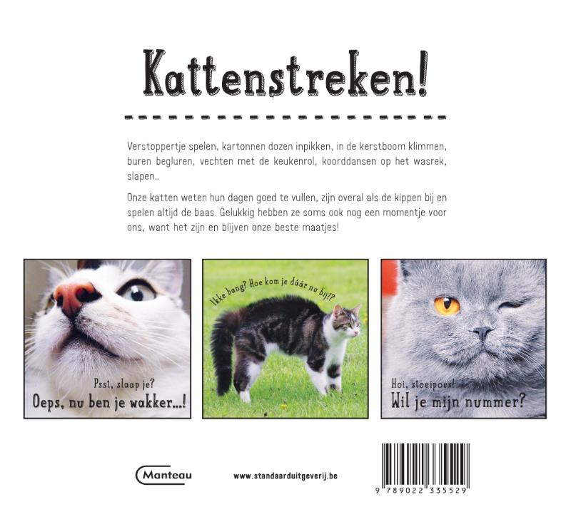 Kattenstreken achterkant