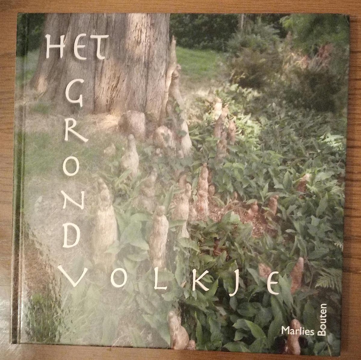 Het Grondvolkje