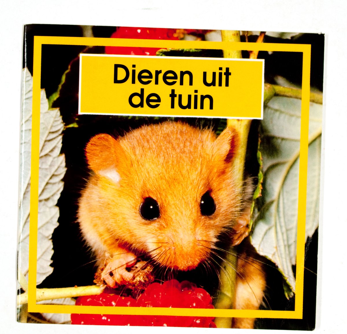 Dieren uit de tuin