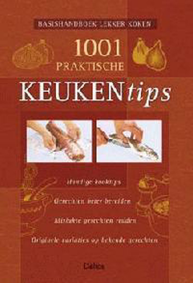 boekenbalie_9789044701920_cover 1001 praktische keukentips