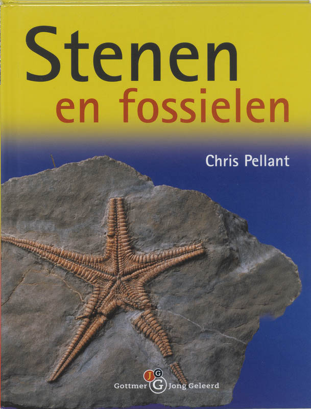 Stenen En Fossielen