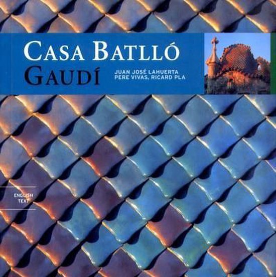 Pere Vivas Casa Batllo