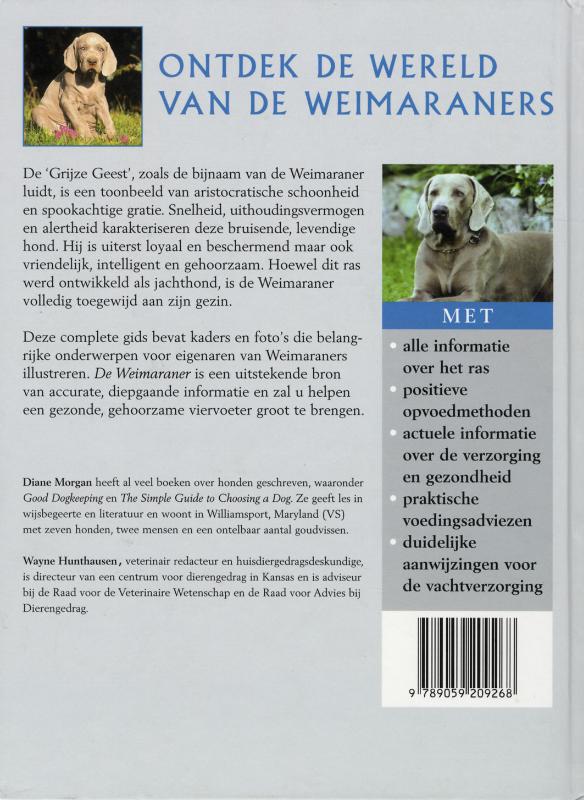 De Weimaraner De Weimaraner achterkant