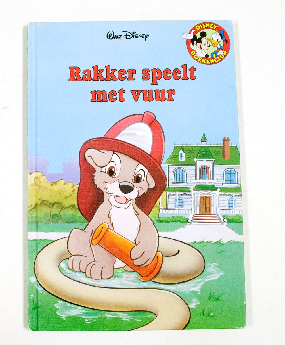 Walt Disney Rakker Speelt Met Vuur thumbnail