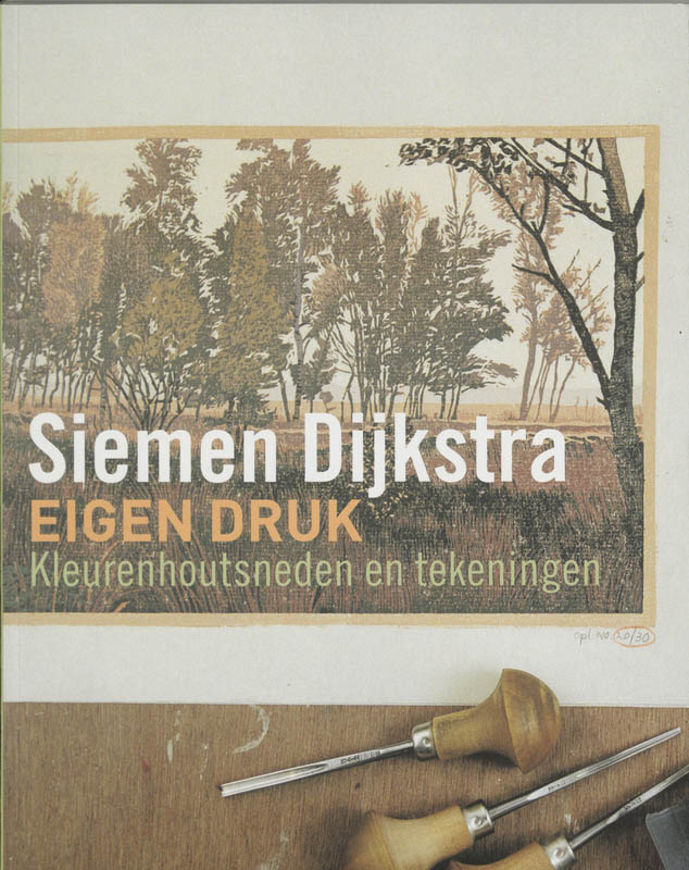 Monografieen van het Drents Museum over hedendaagse figuratieve kunstenaars - Siemen Dijkstra