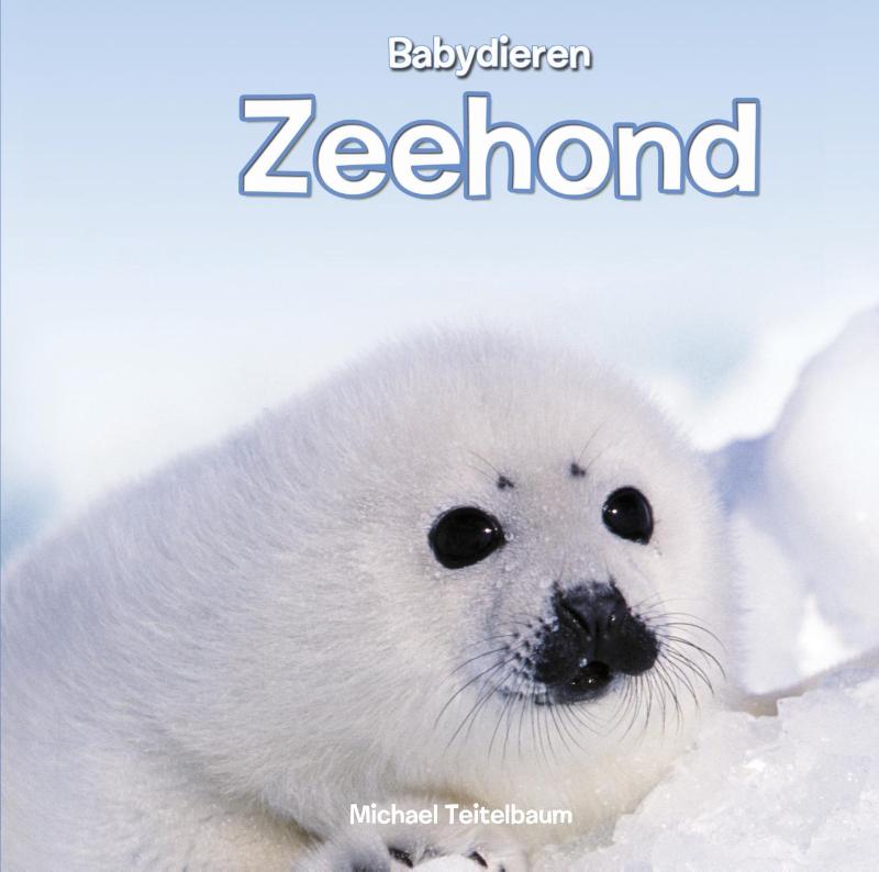 Babydieren  -   Zeehond