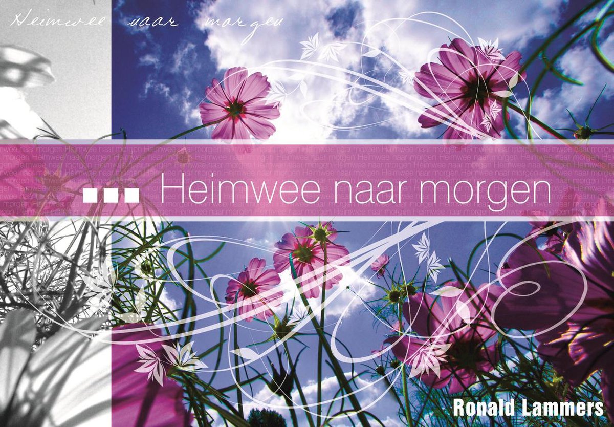 R. Lammers Heimwee Naar Morgen thumbnail