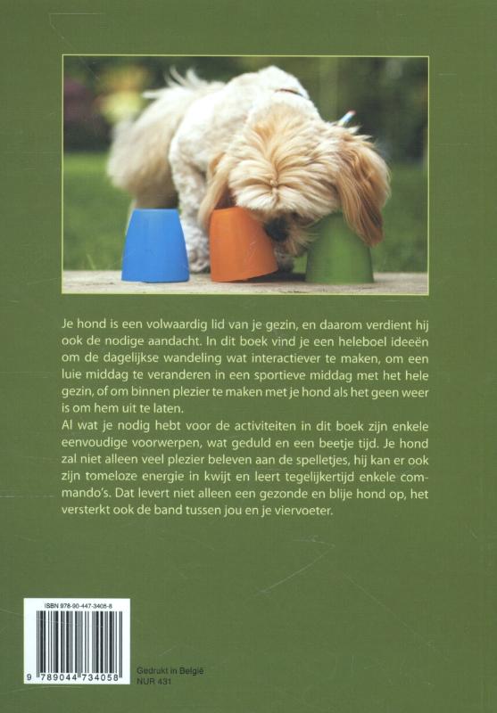 De leukste spelletjes met uw hond achterkant