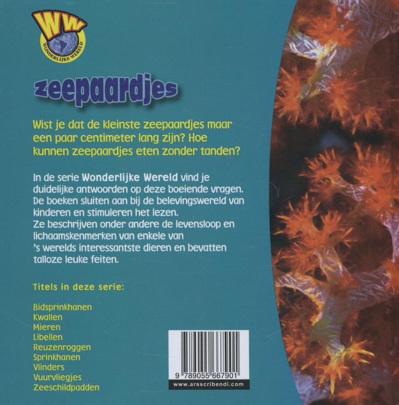 Zeepaardjes / Wonderlijke wereld achterkant